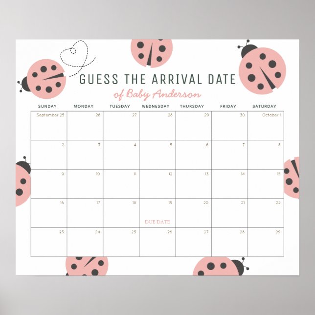 Affiche Pink Ladybugs Guess The Due Date Calendar (Devant)