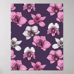 Affiche Pink orchid flowers