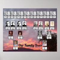 Pink Purple Gold-Lined Clouds Two Family Trees