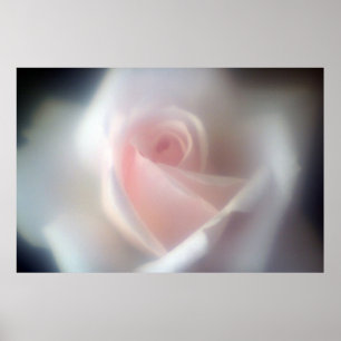 Affiche Pink Rose Large Poster/Print
