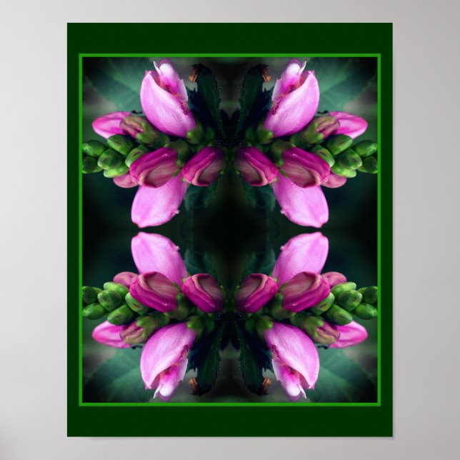 Affiche Pink Turtlehead Flower Close Up Mirror Abstrait (Devant)
