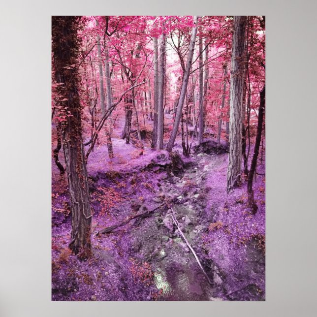 Affiche Pink Wonderland (Devant)