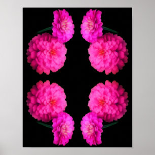 Affiche Pink Zinnia Flower Pair Art Abstrait