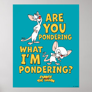 Affiche Pinky and the Brain Are You Pondering?