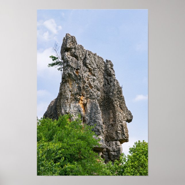 Affiche Pinnacles de Shilin Forêt de pierre - Yunnan, Chin (Devant)