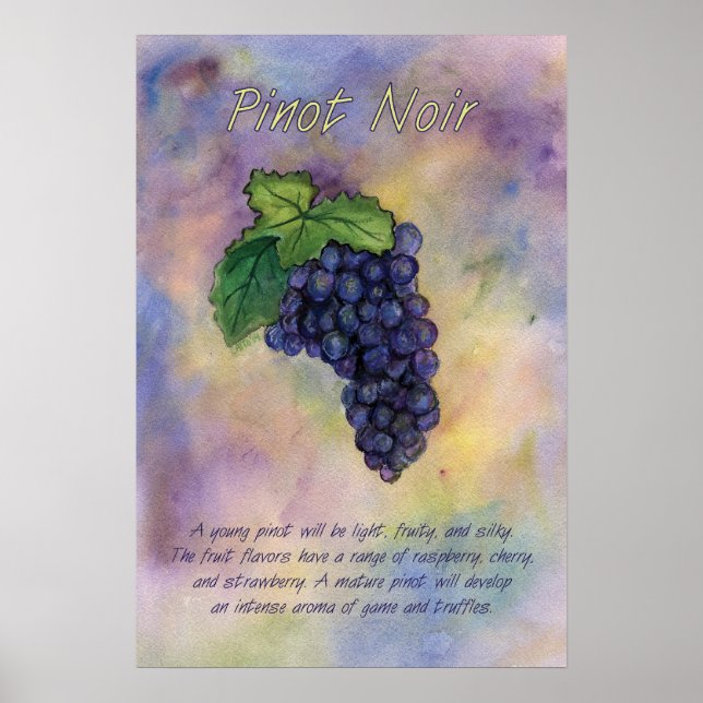 Affiche Pinot Noir Rouge Vins Grappes Art Imprimer (Devant)
