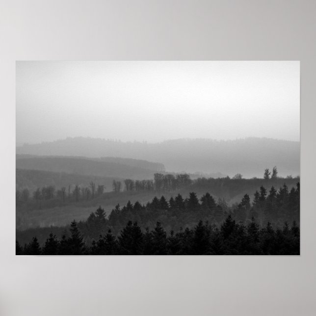 Affiche Pins avec brouillard photo nature (Devant)