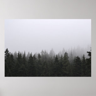 AFFICHE PINS VERTS SOUS LE CIEL BLANC