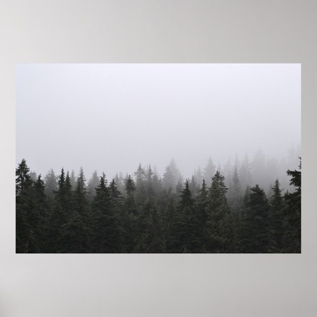 AFFICHE PINS VERTS SOUS LE CIEL BLANC (Devant)