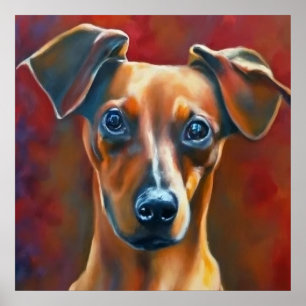 Affiche Pinscher autrichien - Portrait de chien