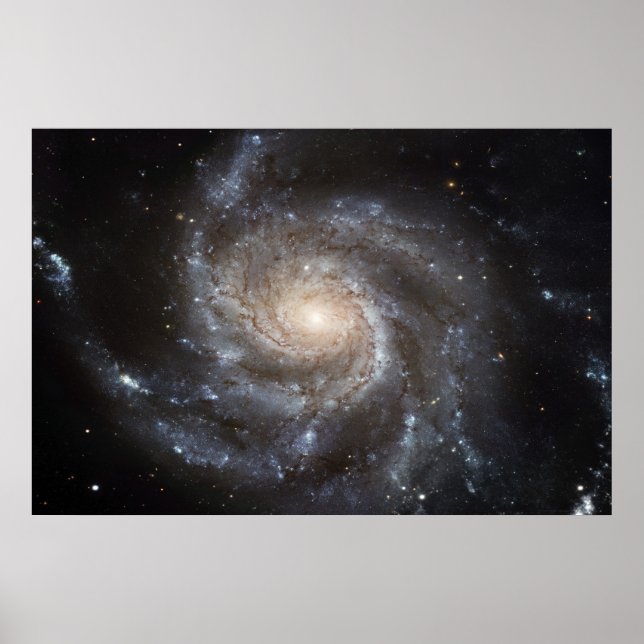 Affiche Pinwheel Galaxy M101 78x52 (57x38) (Devant)