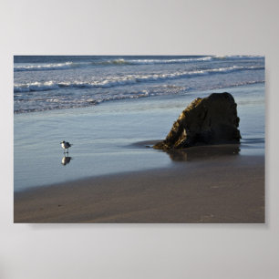 Affiche Pipe De Sable Sur La Plage