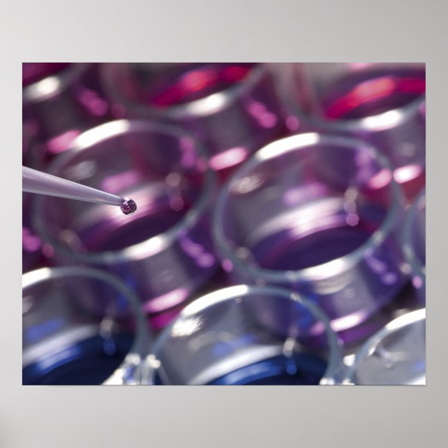 Affiche Pipette et pétri avec fluides (Devant)