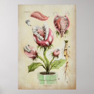 Affiche Piranha Plant Botanical Illustration