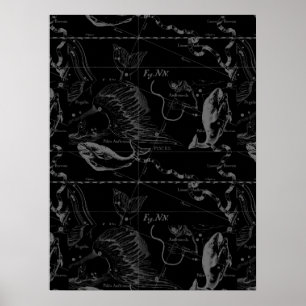 Affiche Pisces Constellation Hevelius 1690 sur Black
