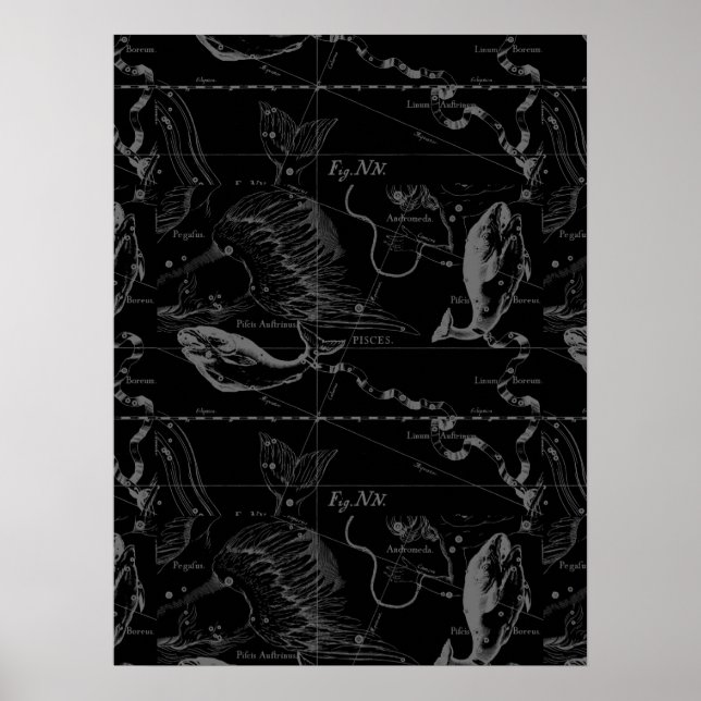 Affiche Pisces Constellation Hevelius 1690 sur Black (Devant)