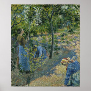 Affiche Pissarro - Cueillette de pommes 1881