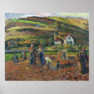 Affiche Pissarro - Récolte de pommes de terre Pontoise 187