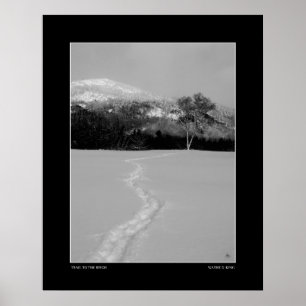 Affiche Piste à un bouleau en hiver (Monochrome)
