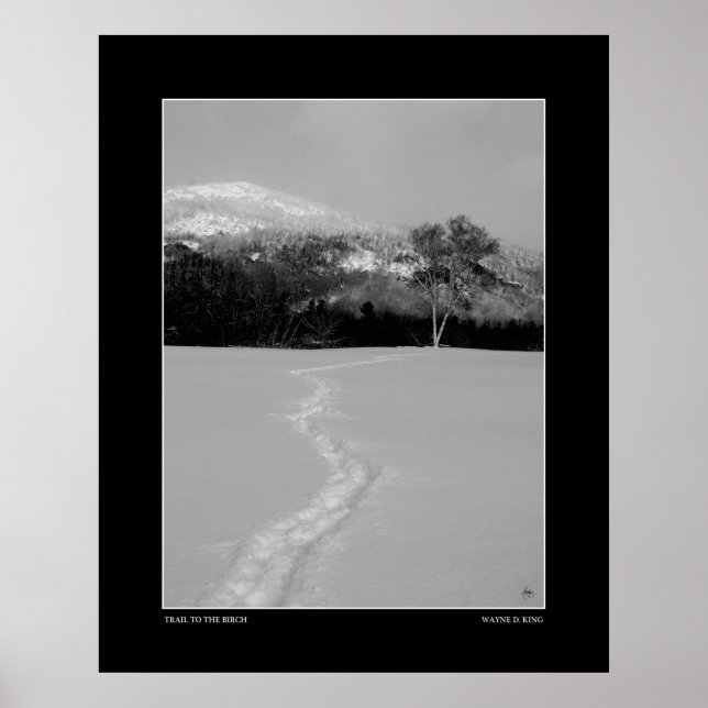 Affiche Piste à un bouleau en hiver (Monochrome) (Devant)