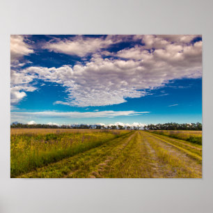 Affiche Piste dans Kissimmee Prairie Preserve State Park,