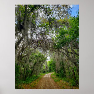 Affiche Piste de boucle du lac Apopka, Floride