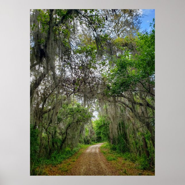 Affiche Piste de boucle du lac Apopka, Floride (Devant)