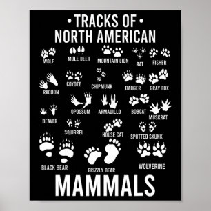 Affiche Pistes d'animaux sauvages de mammifères nord-améri