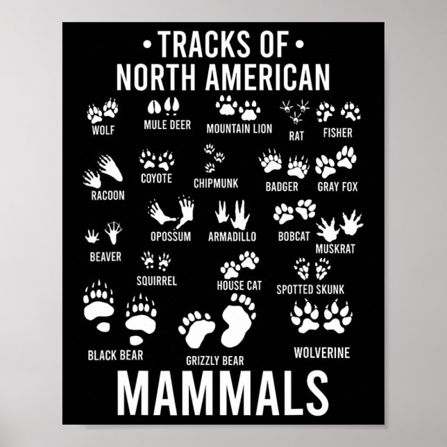Affiche Pistes d'animaux sauvages de mammifères nord-améri (Devant)