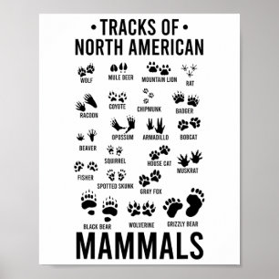 Affiche Pistes d'animaux sauvages de mammifères nord-améri