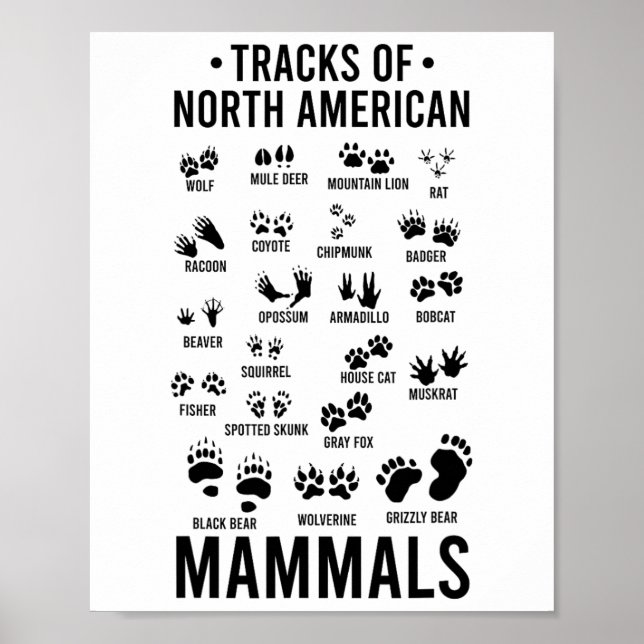 Affiche Pistes d'animaux sauvages de mammifères nord-améri (Devant)