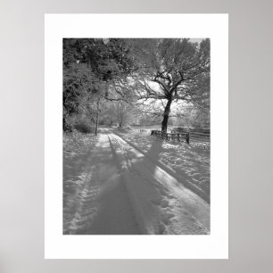 Affiche Pistes dans la neige : Cheshire