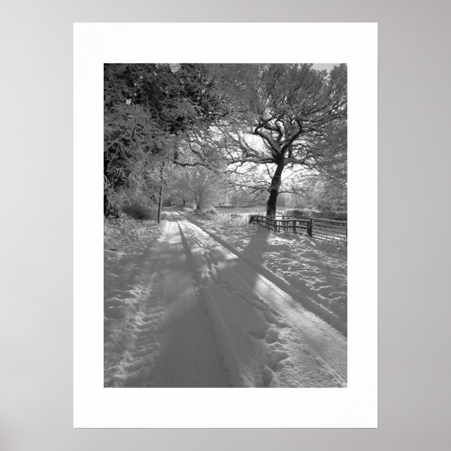 Affiche Pistes dans la neige : Cheshire (Devant)