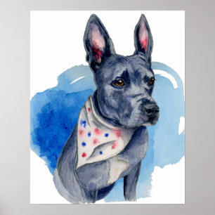 Affiche Pit Bull Chien Blue Aquarelle Peinture