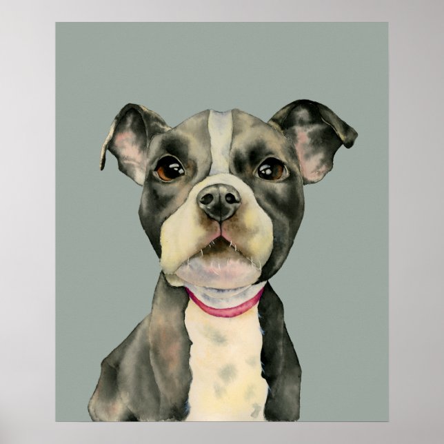 Affiche Pit Bull Terrier Chien Chien Chien Chien Aquarelle (Devant)