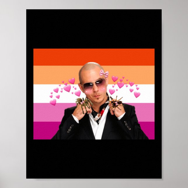 Affiche Pitbull Aime Les Araignées Et Aussi Lesbiennes Sti (Devant)