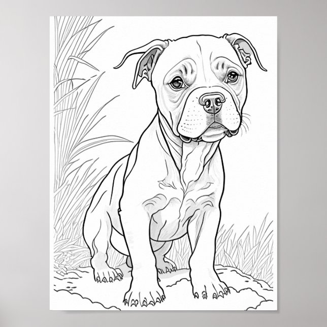 Affiche Pitbull Chien Adult Coloration (Devant)