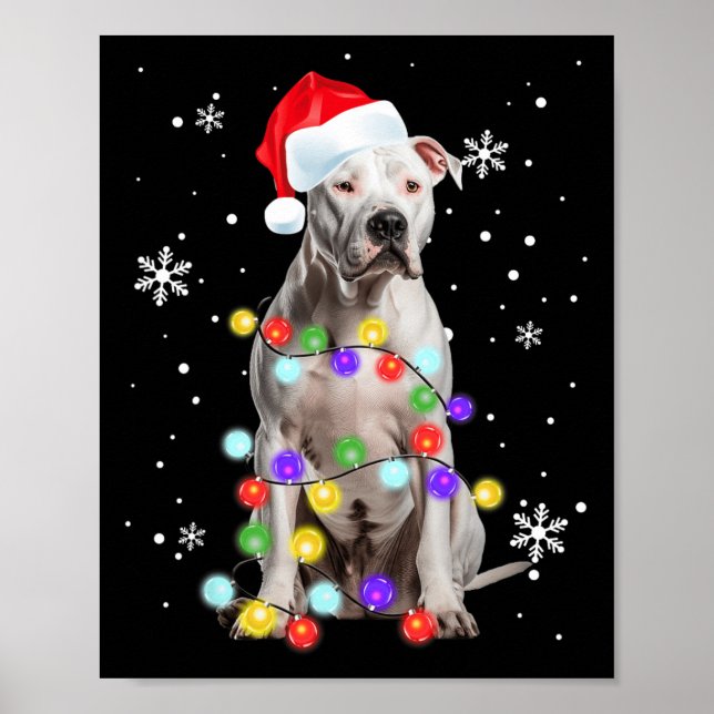 Affiche Pitbull Chien Joyeux Dogmas Père Noël Pitbull Noël (Devant)