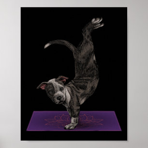 Affiche Pitbull faisant du yoga méditation zen namaste yog