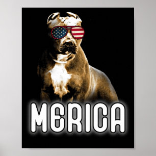 Affiche Pitbull Merica Patriotic Chien Pit Bull Patriot