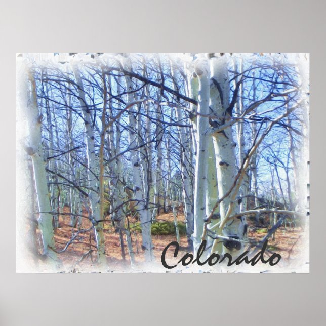 Affiche pittoresque de peuplier de peuplier du Col (Devant)