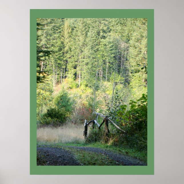 Affiche Pittoresque Oregon Forêts Arbres Pays Photographie (Devant)