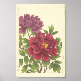 Affiche Pivoine de Hodo Nishimura Fleurs Japonaises Beaux-