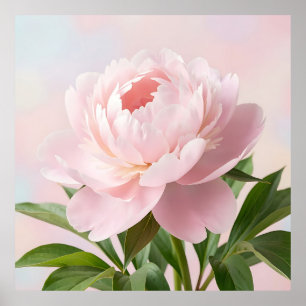 Affiche Pivoine Rose Pâle Élégante Illustration Florale Ré