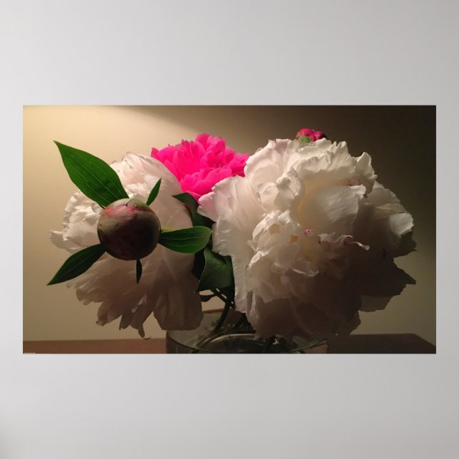 Affiche Pivoines, (Devant)