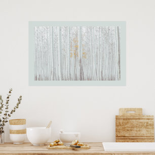 Affiche PixDezines Forêt de bouleau argenté couleur de bor