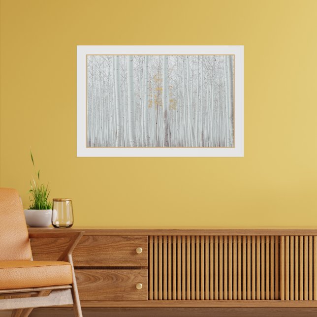 Affiche PixDezines Forêt de bouleau argenté couleur de bor (Salon 2)