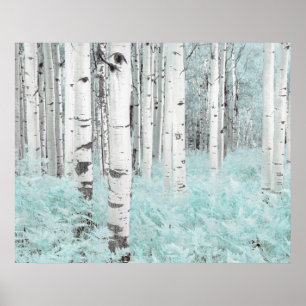 Affiche PixDezines Forêt de bouleaux d'hiver Lit de fougèr
