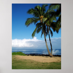 Affiche Plage Ali'i 19