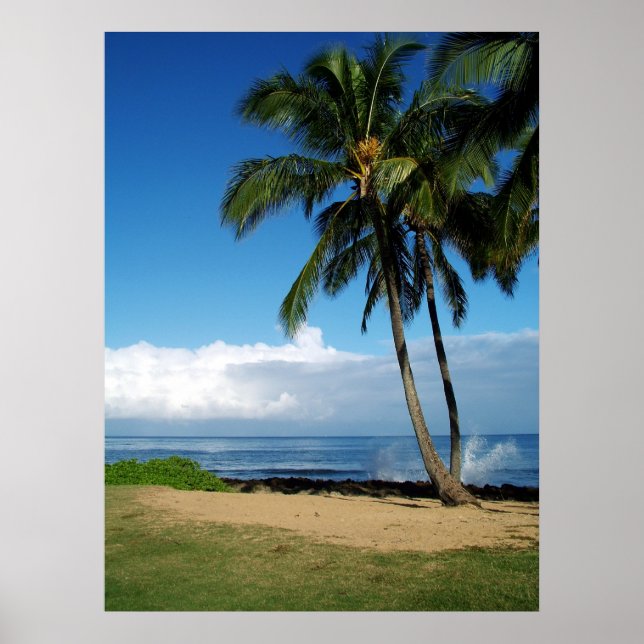 Affiche Plage Ali'i 19 (Devant)